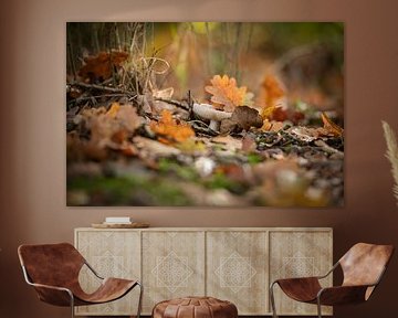 Herbst in Friesland, Oenkerk von Wendy de Jong