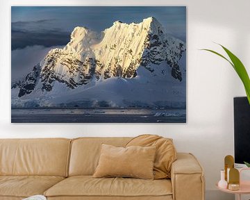 Goud licht in Antarctica van Koen Hoekemeijer