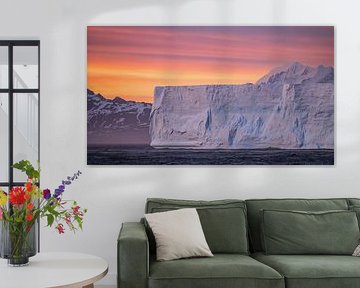 Colourful South Georgia by Koen Hoekemeijer