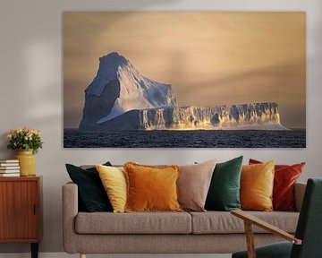 Gouden bergen van Koen Hoekemeijer