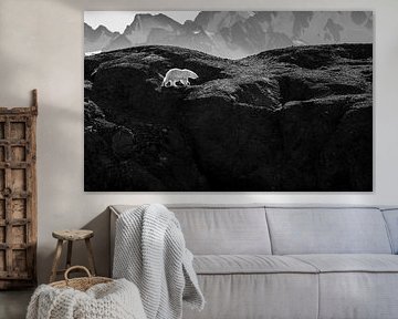 Polar bear at Texas Bar by Koen Hoekemeijer