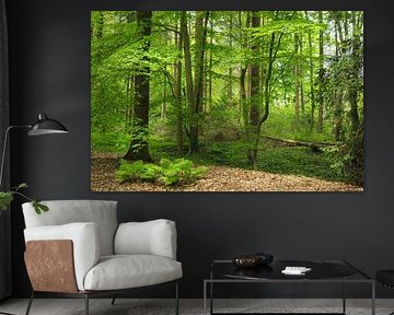 Märchenwald im Frühling von Corinne Welp