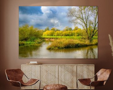 Rivière serpentant dans un paysage d'automne