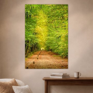 Herbstlandschaft in Twente von Sjoerd van der Wal Fotografie