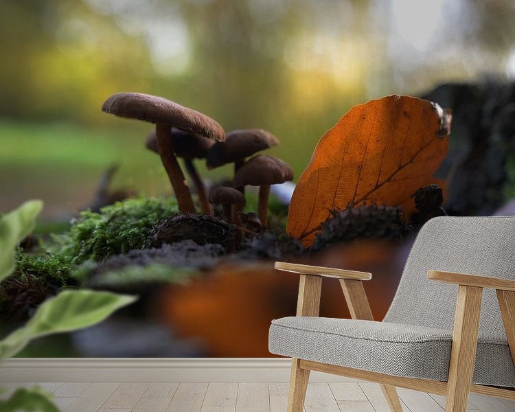 Aperçu de la chambre