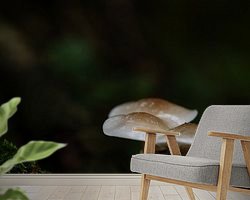 Voorbeeld van het werk in een kamer