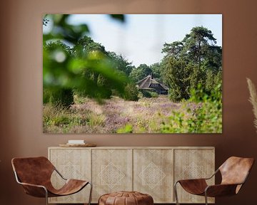 La bruyère et la splendeur de l'architecture et de la nature hollandaises