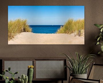 Strand im Ostseebad Dierhagen an der Ostsee von Werner Dieterich