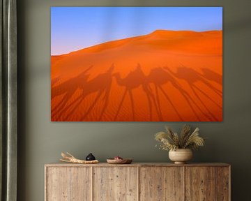 L'ombre des chameaux dans les sables du désert, Abu Dhabi