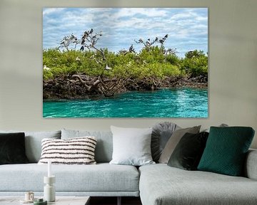 Vogelinsel, Cosmoledo-Atoll