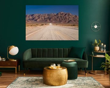 Paysage de la Namibie sur Willemijn Wolthaus