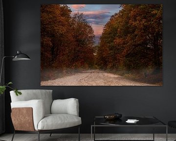 Chemin sablonneux avec les couleurs d'automne dans les arbres.