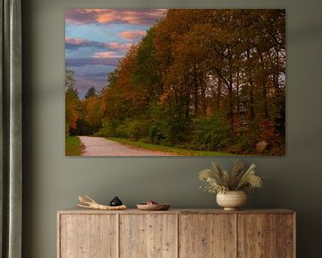 Automne aux Pays-Bas