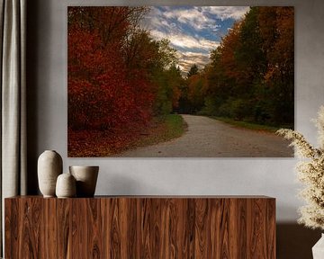 Waldpfade mit Herbstfarben.