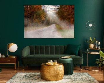 Nebel im Herbst im Wald.