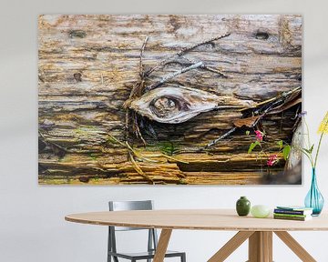 Très beau  - la photographie abstraite avec du bois et des structures d'arbres s'adresse aux personnes qui aiment le naturel, le calme et les détails artistiques.