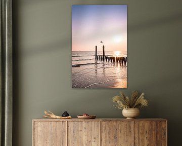 Goéland à la chasse au coucher du soleil et poteaux réfléchissants