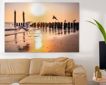 Les mouettes s'ébattent dans un coucher de soleil doré au bord de la mer