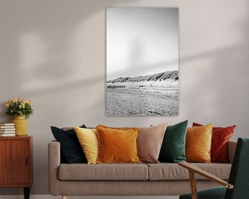 Ligne de dune de plage en contraste silencieux noir et blanc