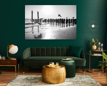 Mouettes en mouvement à Ebb and Breakwater sur Femke Ketelaar