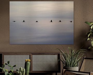 Kranichwanderung von Signatuur Fotografie