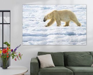 The Silent Wanderer by Koen Hoekemeijer