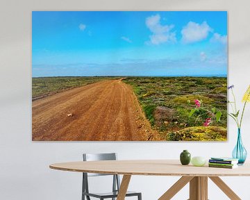 La liberté au bord de l'Atlantique  Le Fishermen's Trail - des falaises dorées, une mer d'un bleu profond et des étendues sans fin.