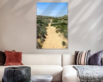 La liberté au bord de l'Atlantique  Le Fishermen's Trail - des falaises dorées, une mer d'un bleu profond et des étendues sans fin.