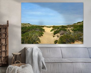 La liberté au bord de l'Atlantique  Le Fishermen's Trail - des falaises dorées, une mer d'un bleu profond et des étendues sans fin.