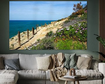 La liberté au bord de l'Atlantique  Le Fishermen's Trail - des falaises dorées, une mer d'un bleu profond et des étendues sans fin.