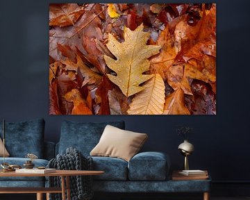 Herbsttropfen von D Art