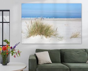 L'herbe à casque dans le sable - Photographie de la plage de Schiermonnikoog sur ThomasVaer | Tom Coehoorn