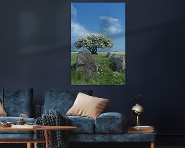 Tombe mégalithique à Nobbin sur Rügen, mer Baltique,MVP,Allemagne sur Peter Eckert