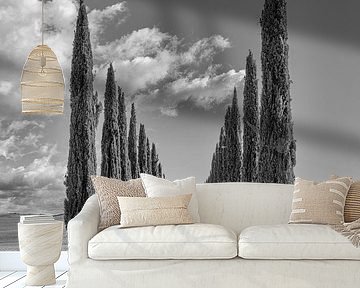 Italy in square black and white, Tuscany by Teun Ruijters