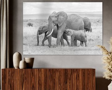 Une affaire de famille ! sur Robert Kok