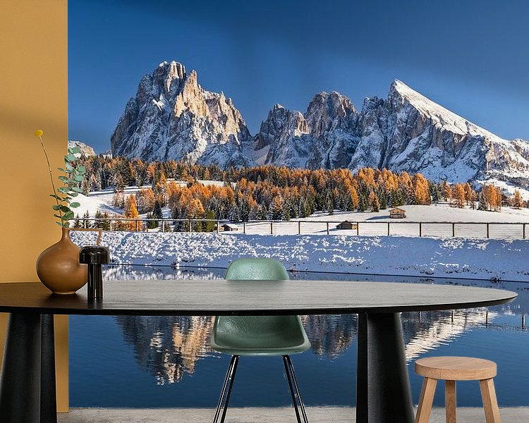 Aperçu de la chambre