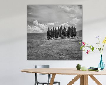 Italië in vierkant zwart wit, Toscane von Teun Ruijters