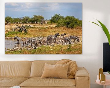 Zebras at the waterhole in Etosha Park