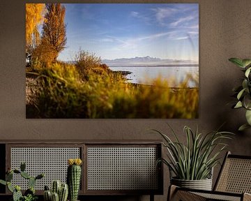 Bodensee bei Immenstaad im Herbst