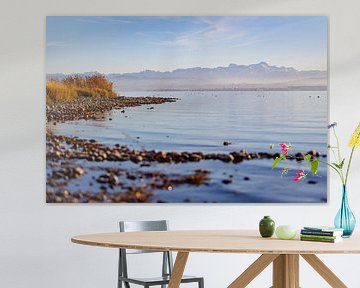 Bodensee im Herbst von Jan Schuler