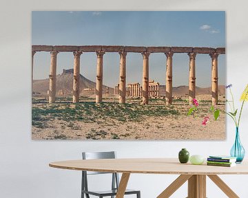 Palmyra - Where columns tell stories