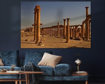 Palmyra - Where columns tell stories