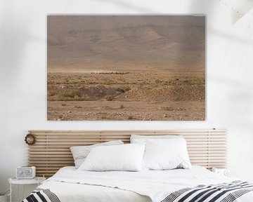 Herd of shepherds in the Syrian desert