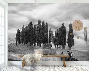 Italien im Quadrat, schwarz-weiß, Toskana von Teun Ruijters