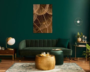 Simplicité rurale : les lignes d'un Tragopogon sur Marjolijn van den Berg