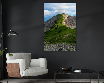 Les Alpes - sauvages, calmes, puissantes et délicates à la fois ️✨ Chaque facette raconte une histoire de nature, de lumière et de vie. sur Miriam Schwarzfischer Fotografie