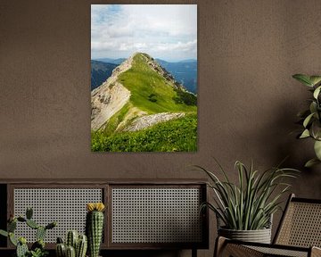 Les Alpes - sauvages, calmes, puissantes et délicates à la fois ️✨ Chaque facette raconte une histoire de nature, de lumière et de vie. sur Miriam Schwarzfischer Fotografie