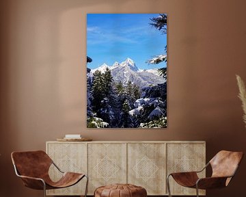 Les Alpes - sauvages, calmes, puissantes et délicates à la fois ️✨ Chaque facette raconte une histoire de nature, de lumière et de vie. sur Miriam Schwarzfischer Fotografie