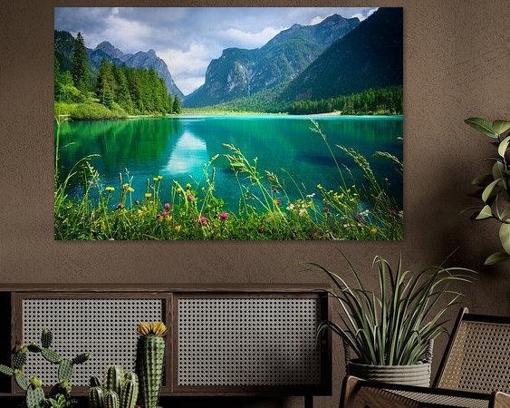 Aperçu de la chambre