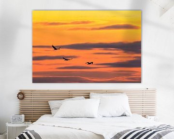 Grues en vol dans un coucher de soleil lors de la migration d'automne sur Sjoerd van der Wal Photographie